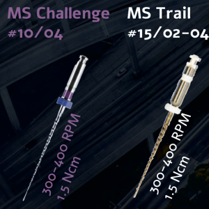 MS Challenge #10/04